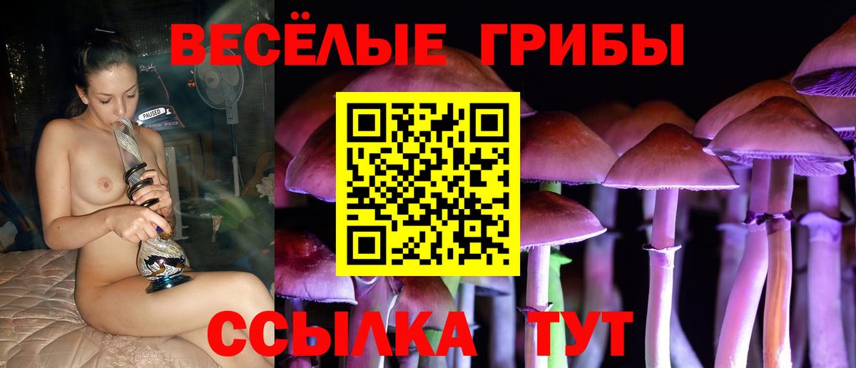 Псилоцибиновые грибы Psilocybe  Вход с VPN  Борзя  Галлюциногенные грибы Psilocybe 